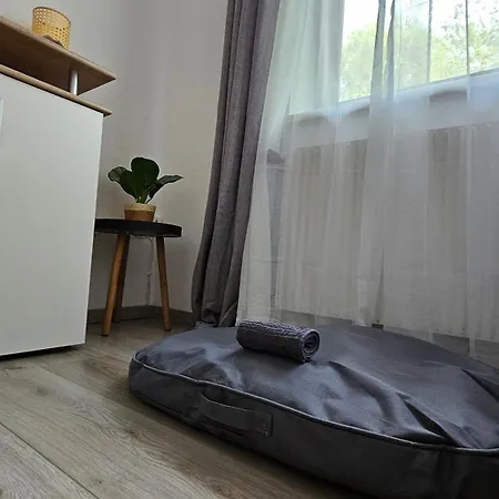 Grazer Nest - Cozy In