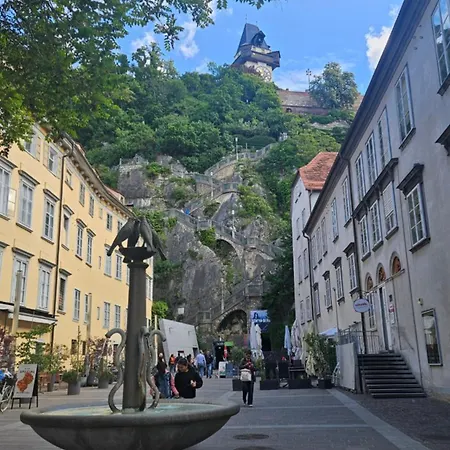 Grazer Nest - Cozy In