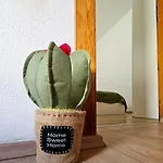 Apartment Grazer Nest - Cozy In Graz