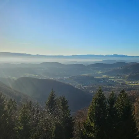 Grazer Nest - Cozy In * Graz