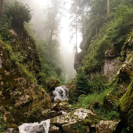 Grazer Nest - Cozy In Apartman