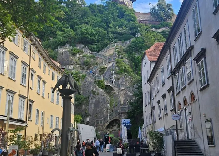 Grazer Nest - Cozy In