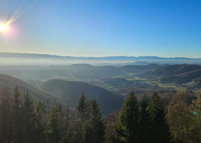 Grazer Nest - Cozy In * Graz