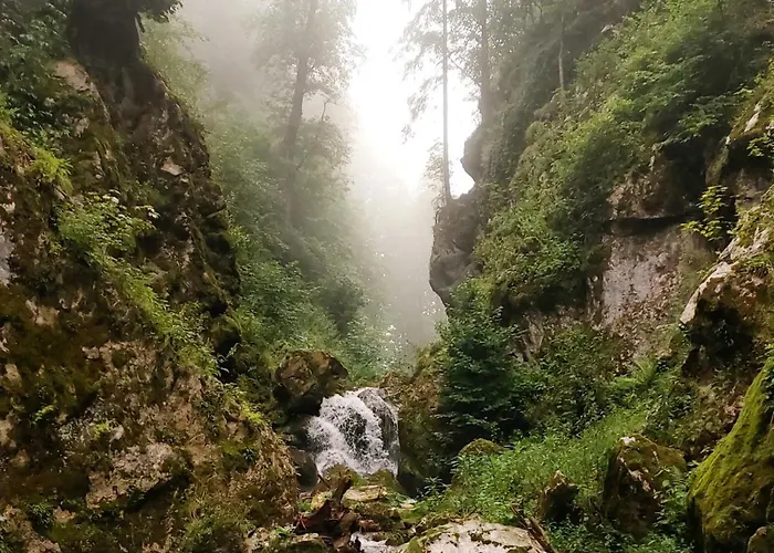 Grazer Nest - Cozy In Apartman